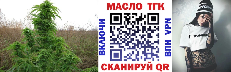 купить наркоту  Благодарный  Дистиллят ТГК гашишное масло 