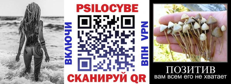 Галлюциногенные грибы Magic Shrooms  Благодарный 