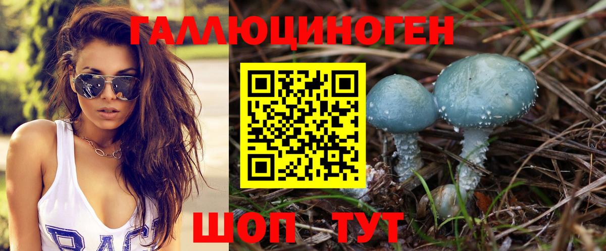 Благодарный  Галлюциногенные грибы MAGIC MUSHROOMS  Вход с VPN 