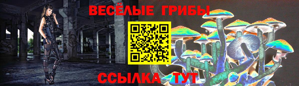 Галлюциногенные грибы прущие грибы  Благодарный  Псилоцибиновые грибы прущие грибы 