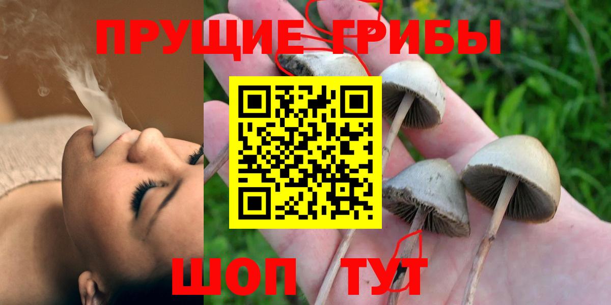 Псилоцибиновые грибы мицелий Благодарный