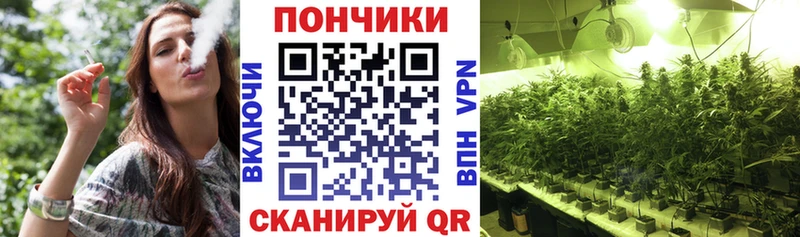 Бошки марихуана конопля  Благодарный 