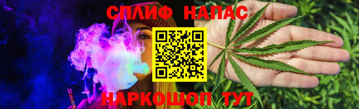 Каннабис индика  Конопля сатива  Благодарный  МАРИХУАНА марихуана 